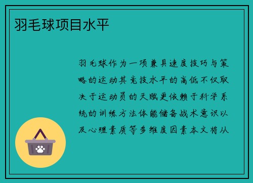 羽毛球项目水平